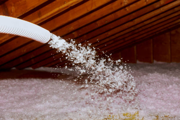 Best Types of Insulation in Summerlin South, NV