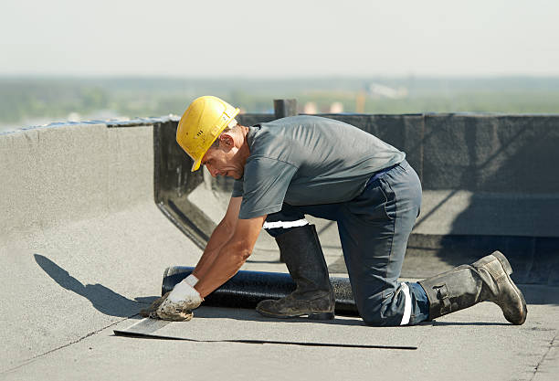 Best Insulation Maintenance and Repair in Summerlin South, NV