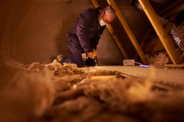 Best Insulation Installation Services in Summerlin South, NV